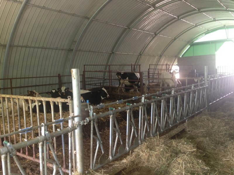 tunnel_agricoli_capannoni_agricoli_2