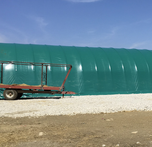 tunnel-agricolo-2020